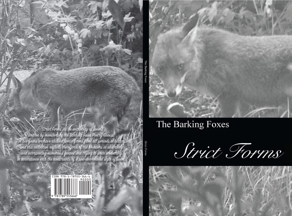 Strict Forms Anthology