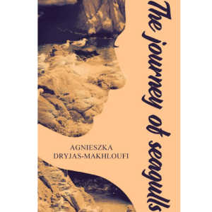 The Journey of Seagulls